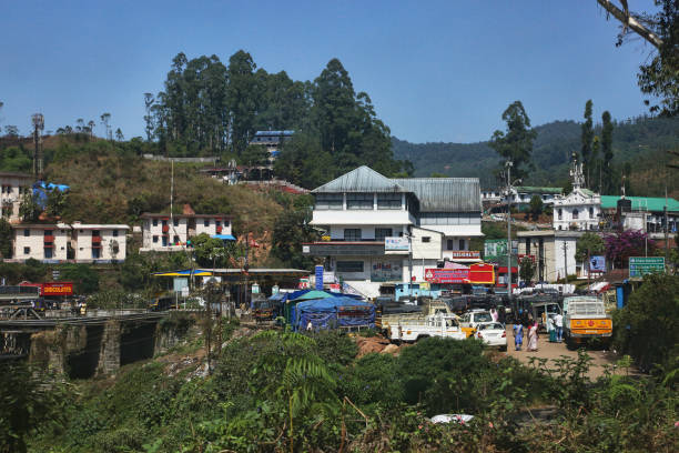 Munnar a popular hill station in Kerala for tourists