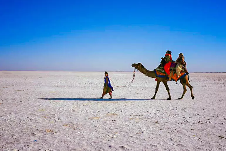 The Rann of Kutch : A vast salt marsh that attracts tourists from all over the world