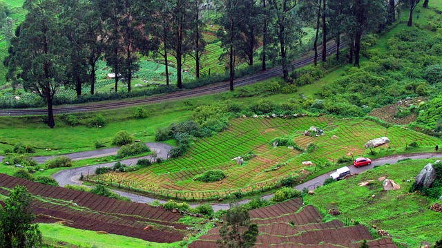 Stunning beauty of the Nilgiri hills from Ooty